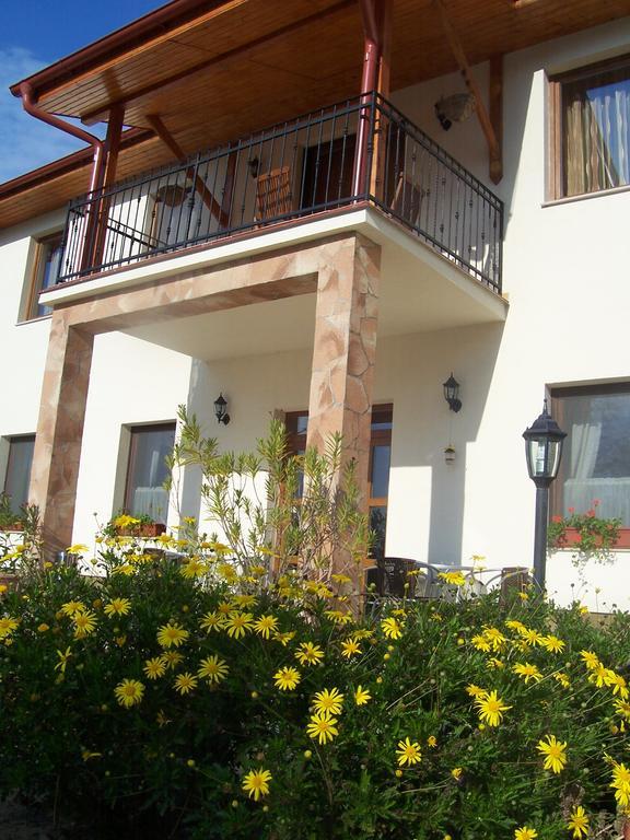 Anna Panzio Hotel Dunavarsany Luaran gambar