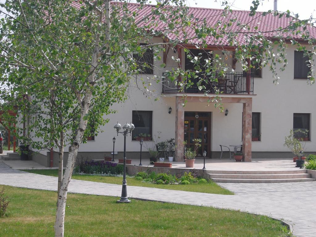 Anna Panzio Hotel Dunavarsany Luaran gambar