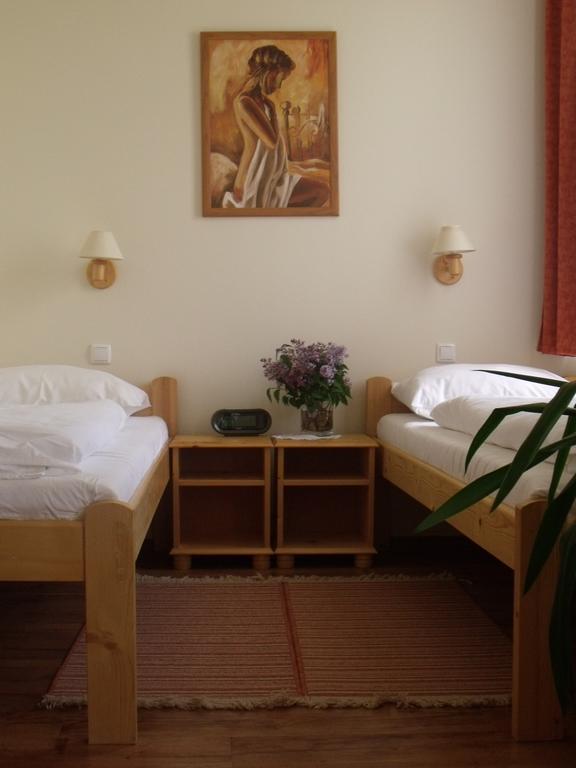 Anna Panzio Hotel Dunavarsany Luaran gambar
