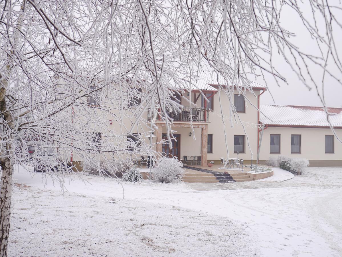 Anna Panzio Hotel Dunavarsany Luaran gambar