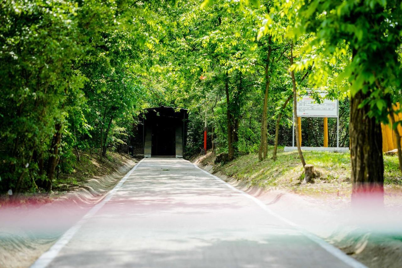 Anna Panzio Hotel Dunavarsany Luaran gambar